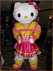 yy-01 klingon hello kitty.png